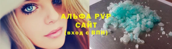винт Каменка