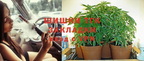 винт Каменка