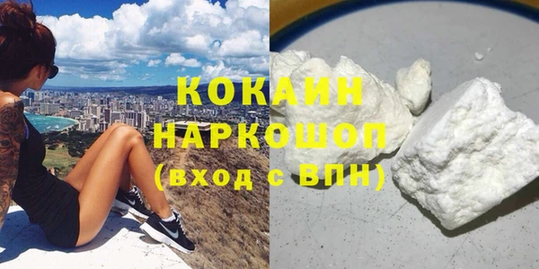 винт Каменка