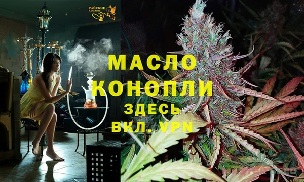 винт Каменка