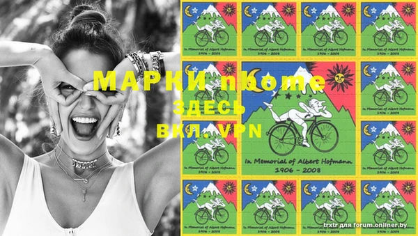 винт Каменка