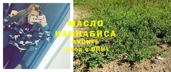 винт Каменка