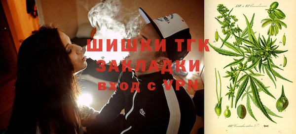 винт Каменка