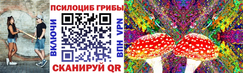 Псилоцибиновые грибы MAGIC MUSHROOMS  мега зеркало  Невинномысск 