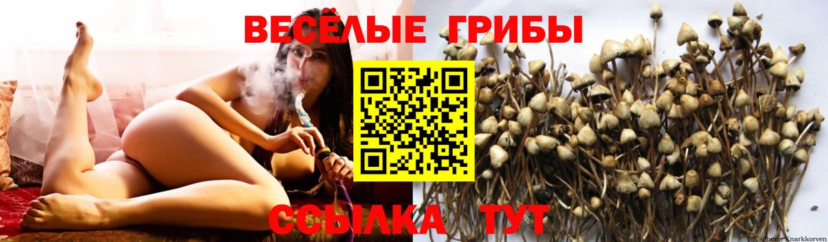 Псилоцибиновые грибы Magic Shrooms  Вход с VPN  Невинномысск 